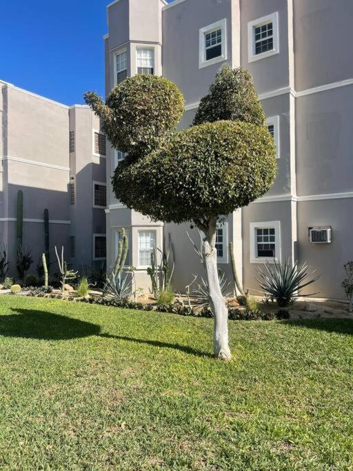 Departamento En 1Er Piso 2 Bdr 2Bath Tezal Daire Cabo San Lucas Dış mekan fotoğraf